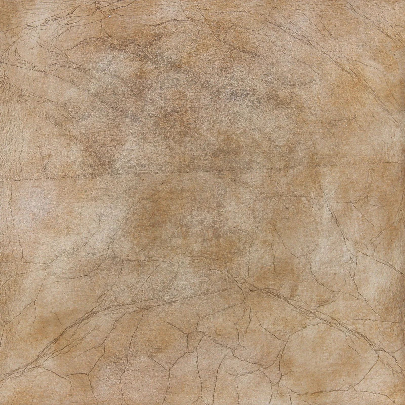 Thumbnail 14